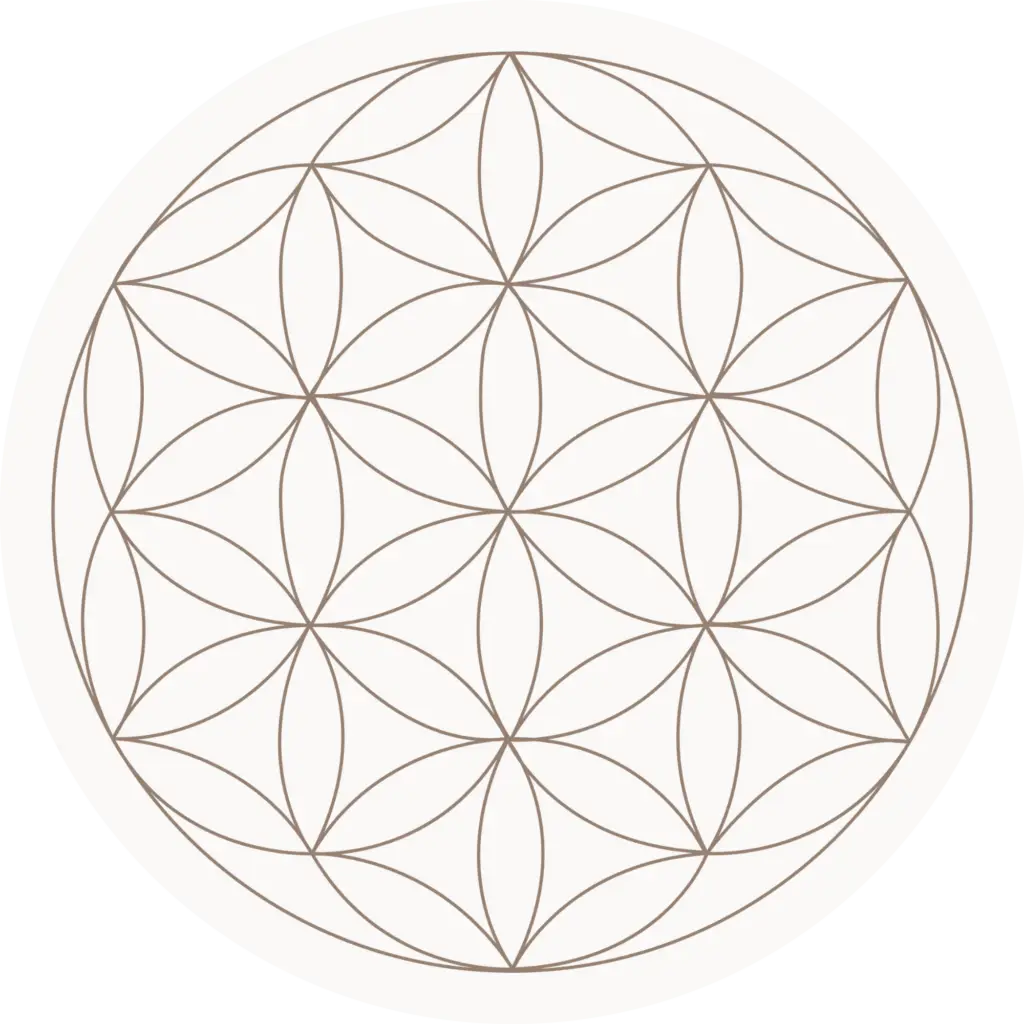 corinna reiß favicon