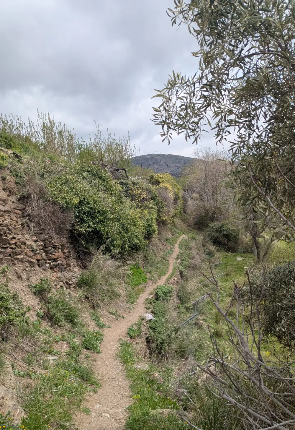 Weg